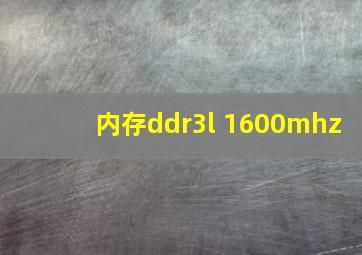 内存ddr3l 1600mhz